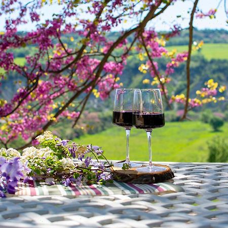 I Sicomori - Seme Di Carota - Glamping E Appartamenti Con Piscina A Saturnia Zewnętrze zdjęcie