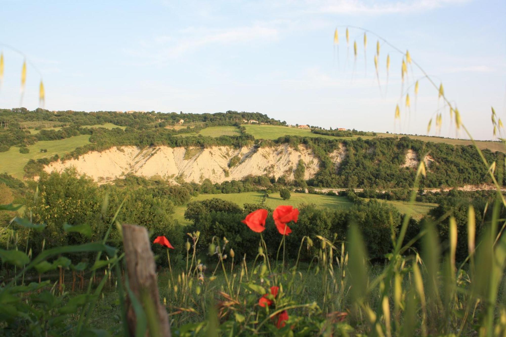 I Sicomori - Seme Di Carota - Glamping E Appartamenti Con Piscina A Saturnia Zewnętrze zdjęcie