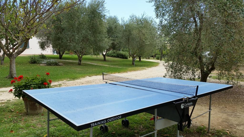 I Sicomori - Seme Di Carota - Glamping E Appartamenti Con Piscina A Saturnia Zewnętrze zdjęcie