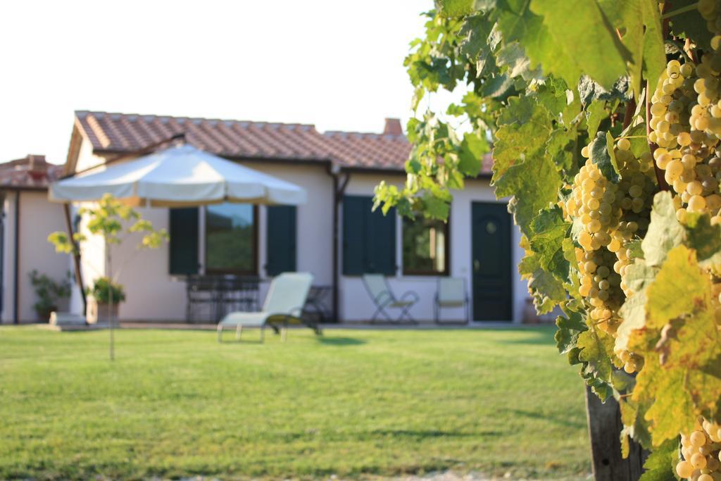 I Sicomori - Seme Di Carota - Glamping E Appartamenti Con Piscina A Saturnia Zewnętrze zdjęcie